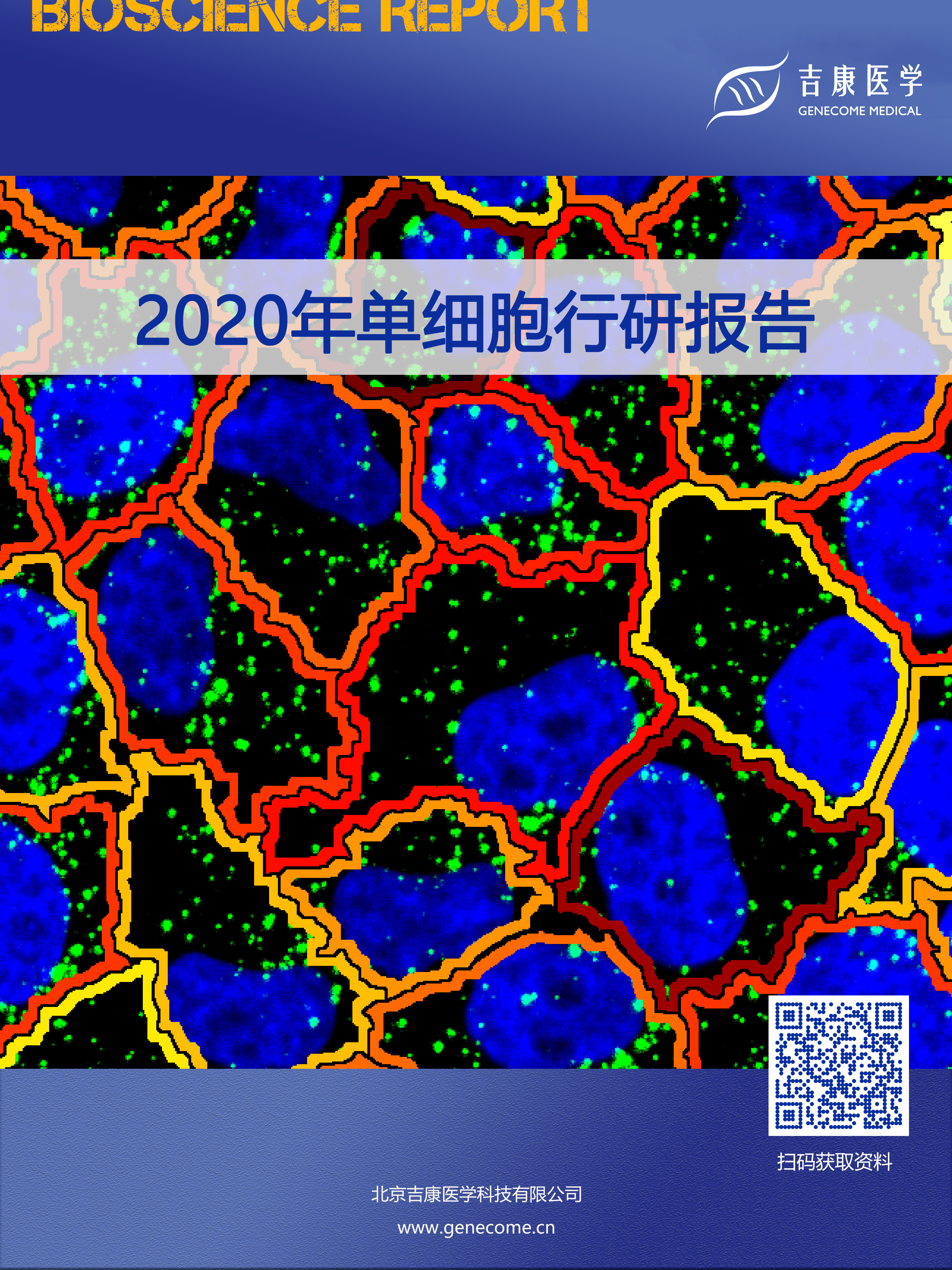 2020单细胞行研报告