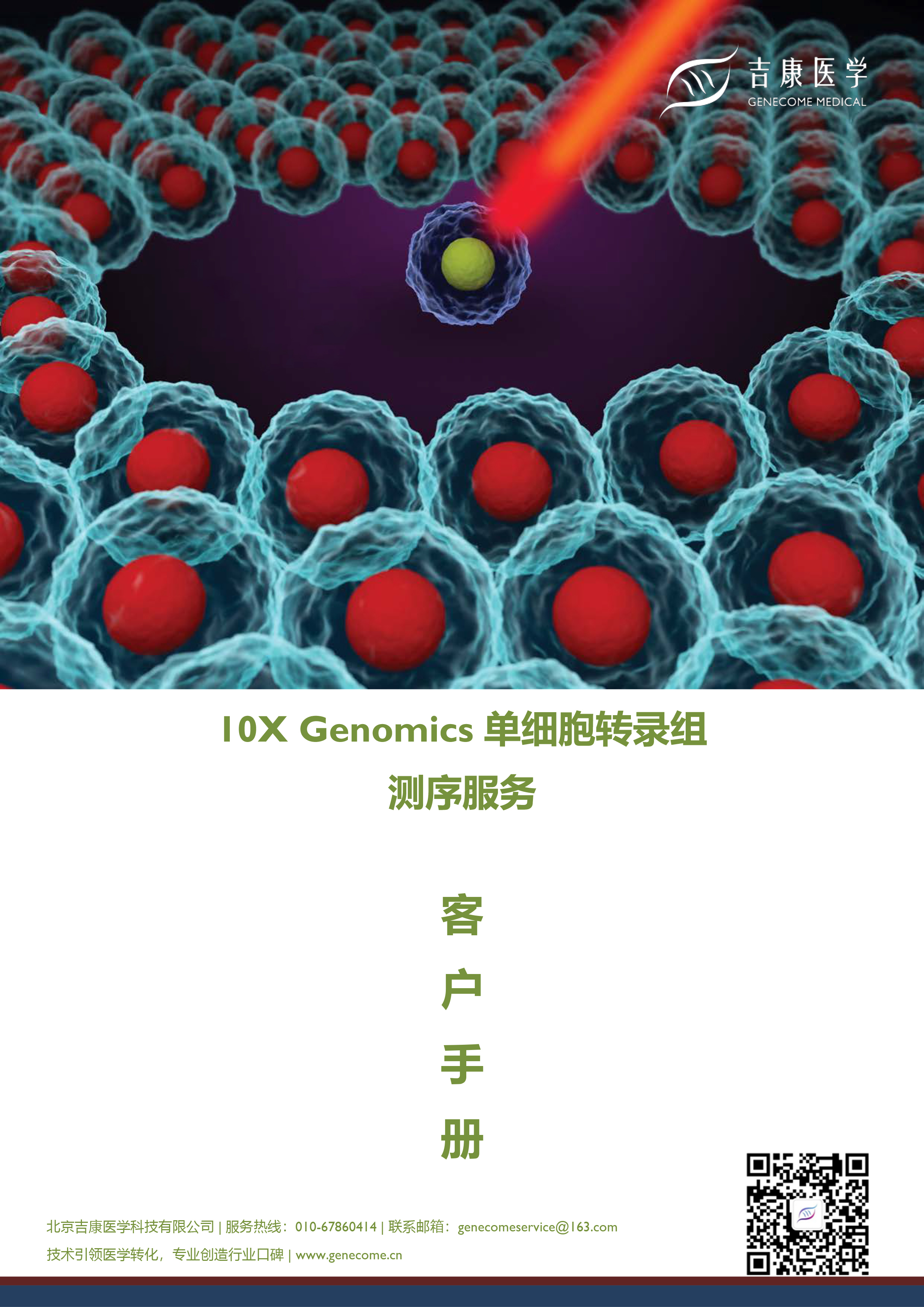 吉康医学单细胞转录组测序客户手册